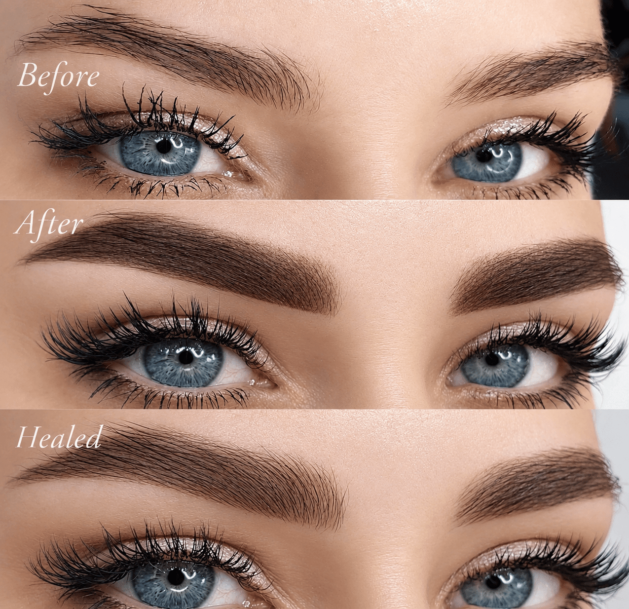 Powder Brows (Ombré) result 3